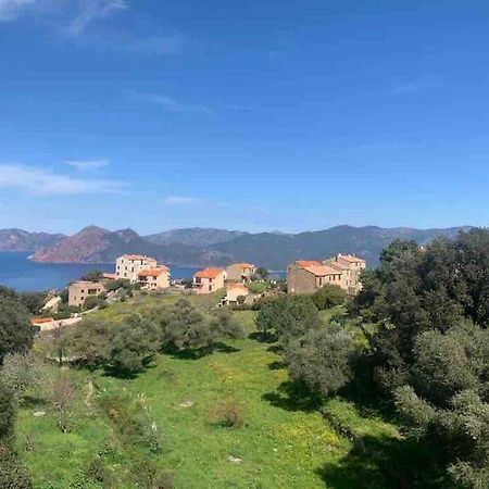 Appartement De Standing Piana Piana  Zewnętrze zdjęcie